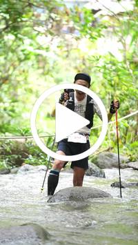 BIB:  <button type="button" onclick="openModal(26820551)" class="btn btn-primary btn-sm float-right" data-toggle="modal" data-target=".modal-high-quality">
                <i class="fa fa-download"></i> Download
                </button>